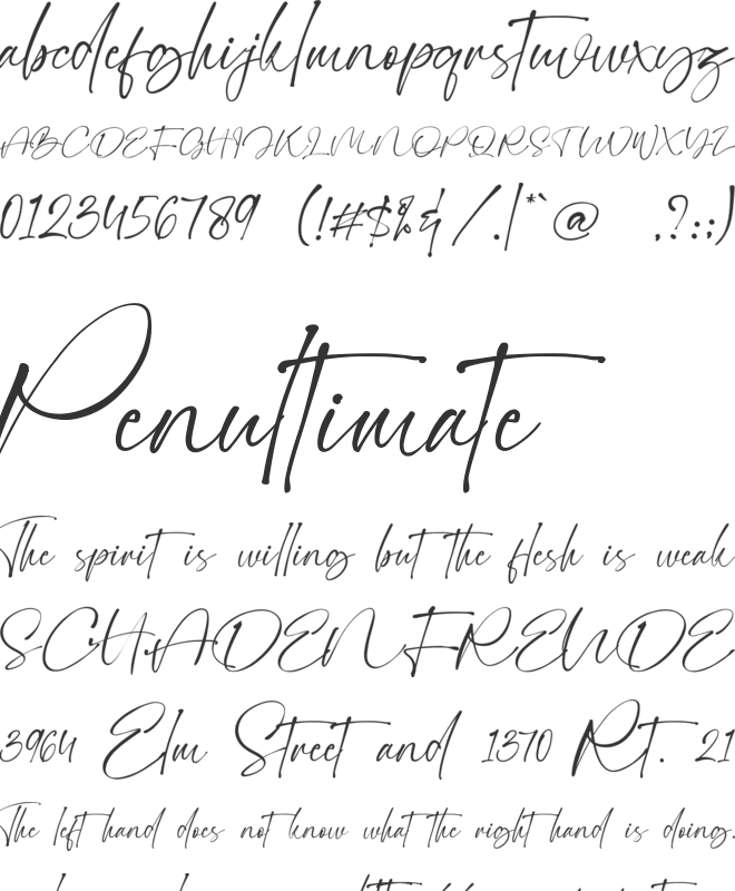 Calloada font preview