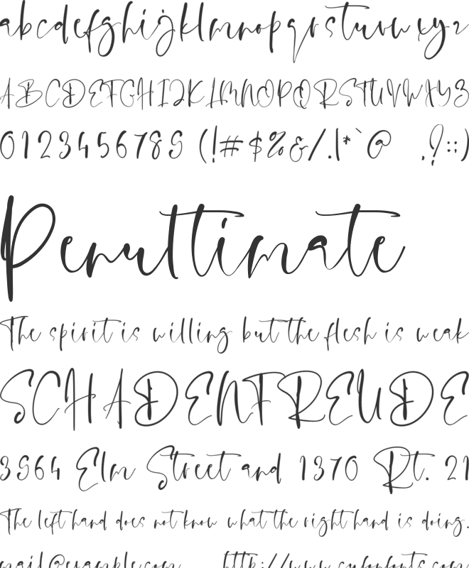 Evanston font preview