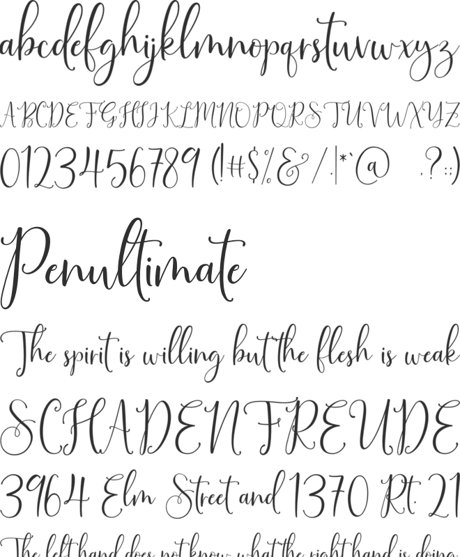 SinfoniettaPersonalUseOnly font preview
