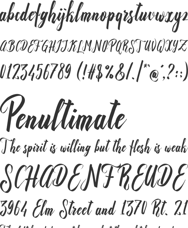 Recognition Script font preview