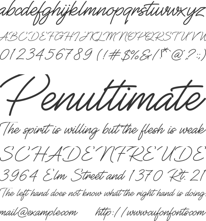 Wild Blood font preview