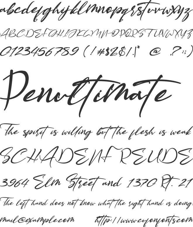 American Bully font preview