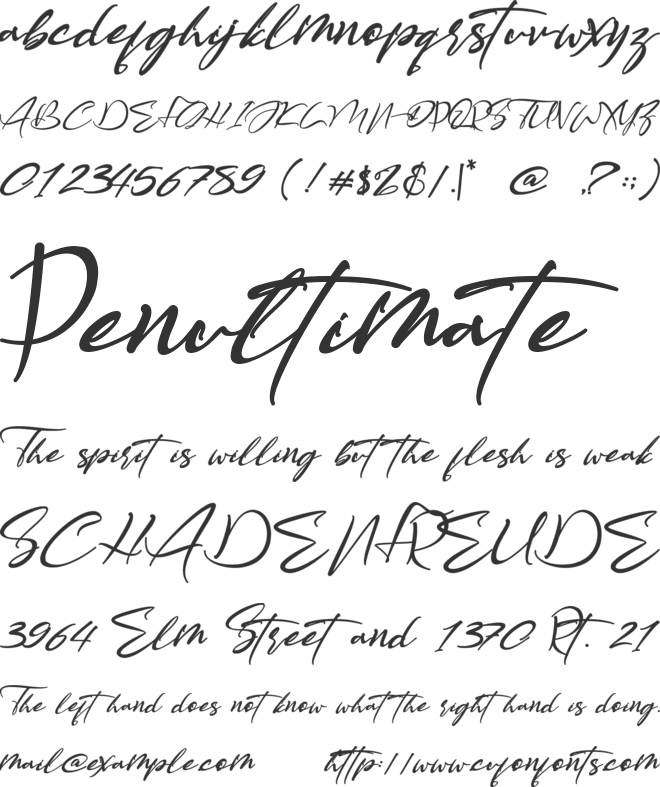 American Bully font preview