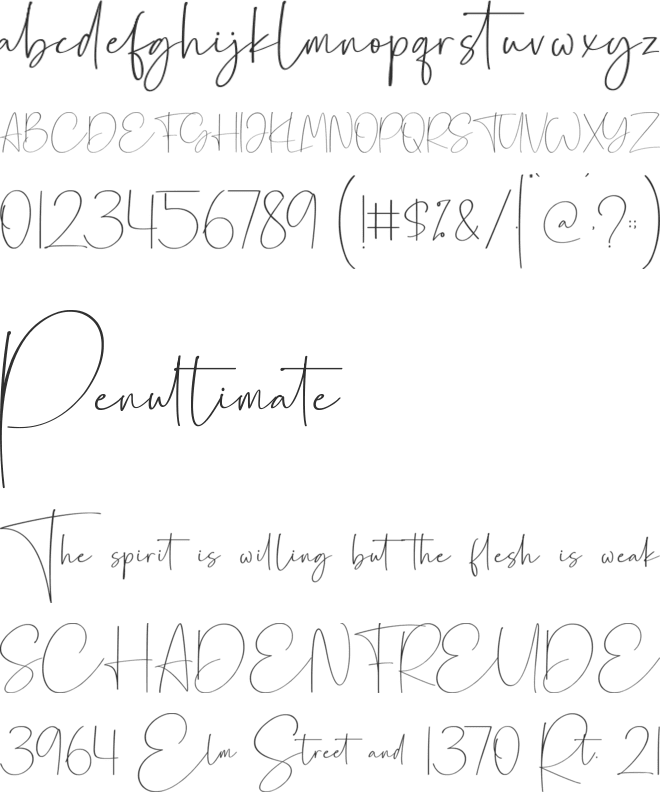 Canasita font preview