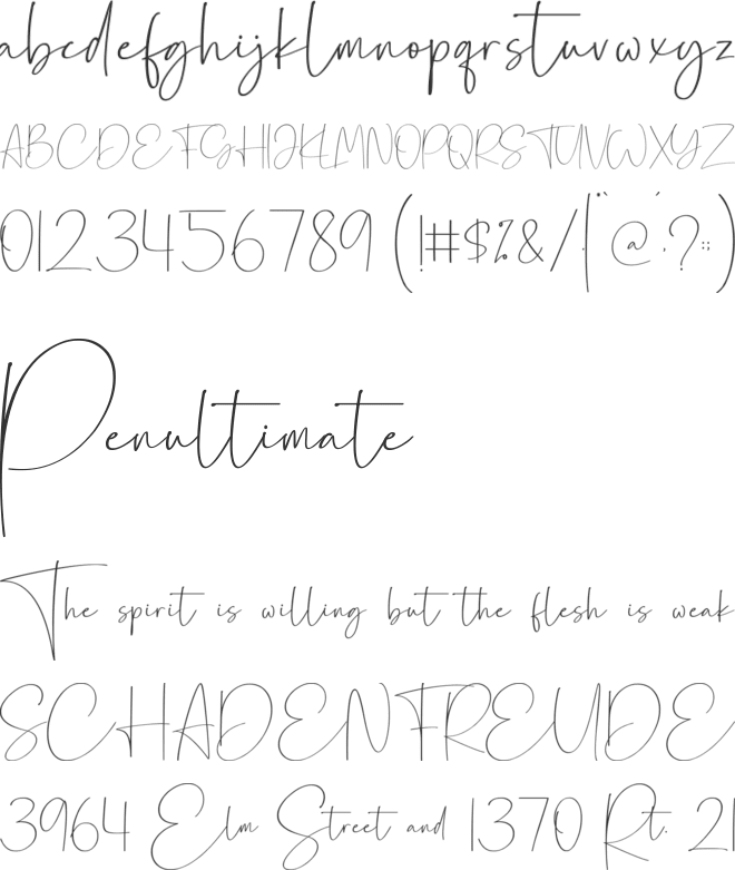 Canasita font preview