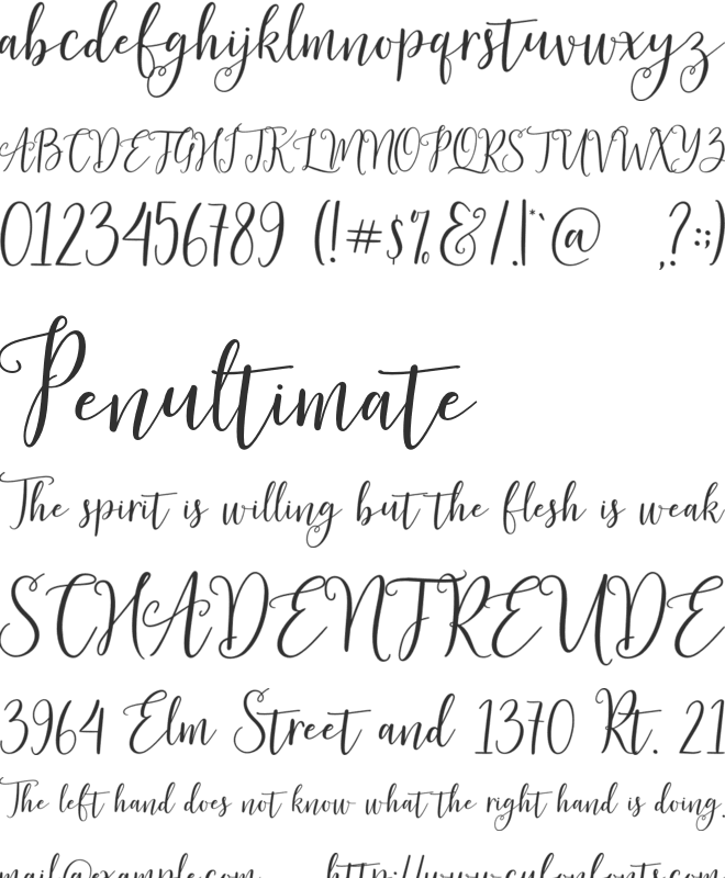 Magtina Script font preview