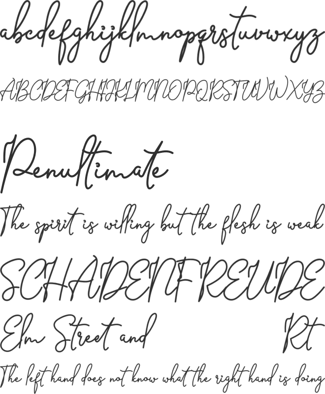 Barier Signature font preview