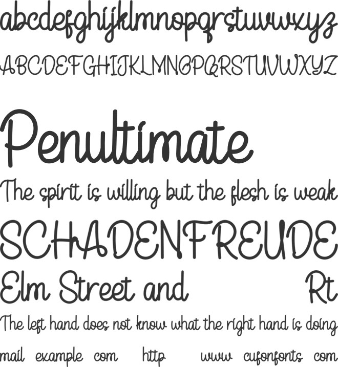 Flower Signature font preview