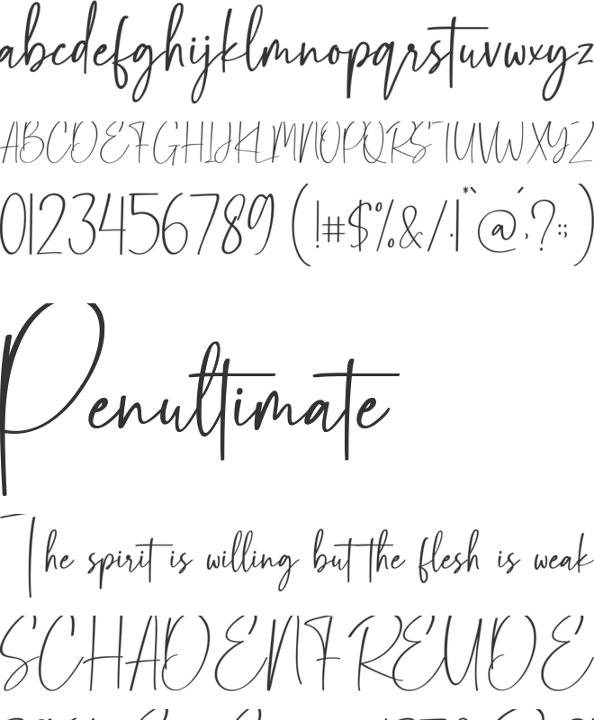 Rastyin font preview