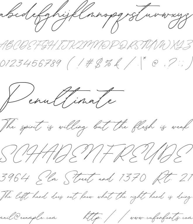 Antonio Fischer font preview