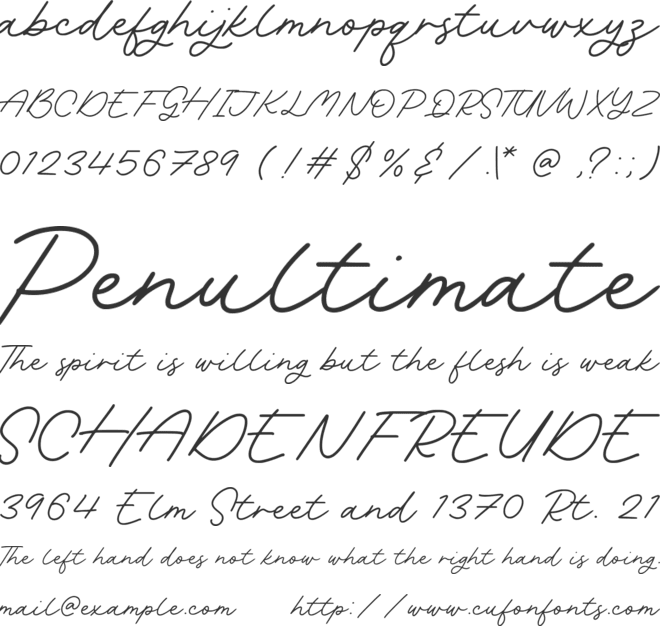 Rachel Bowie font preview