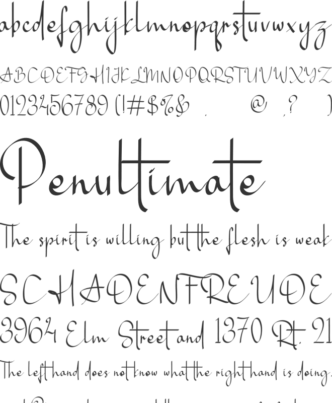 Alayna Hughes font preview