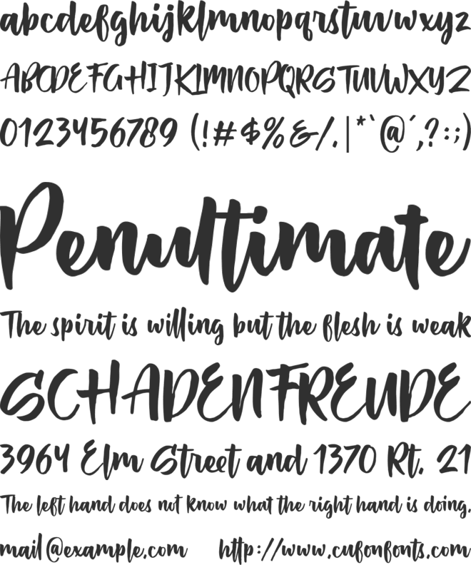 Passifille font preview