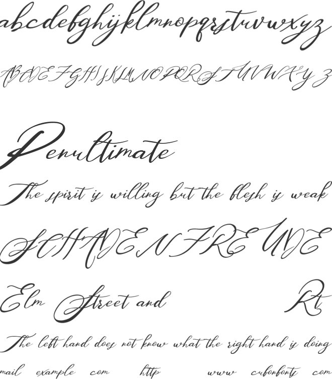 Washingtone Free font preview