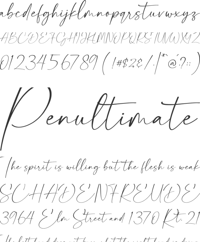 malucas font preview