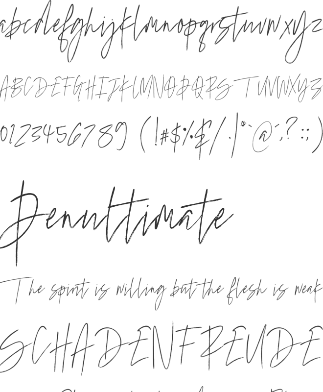 Marvelous Photograph Script font preview