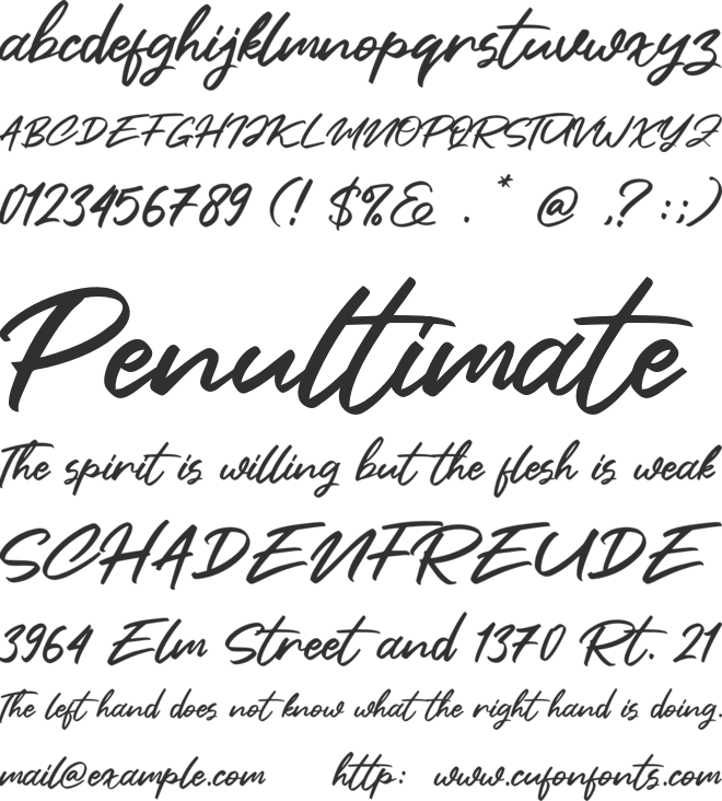 Clusive font preview
