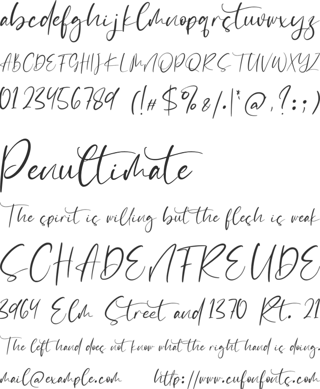 Download Free Catthy Wellingten Font Download Free For Desktop Webfont Fonts Typography