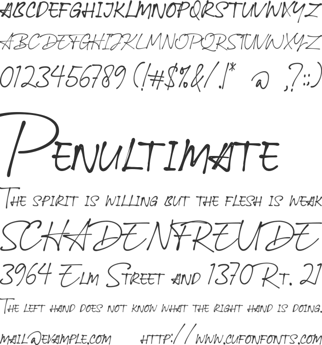 Ballpoint Signature font preview