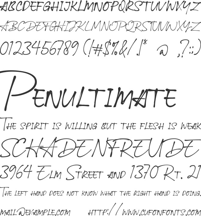 Ballpoint Signature font preview