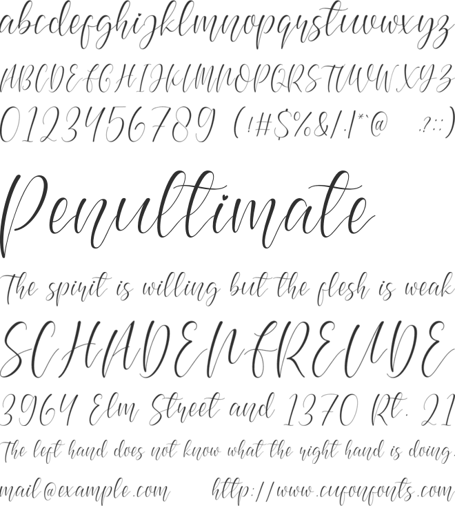 Beauty Amsterdam font preview