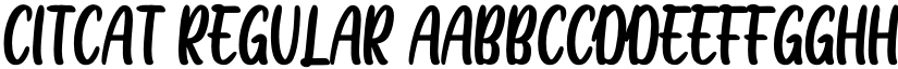 CITCAT Regular font