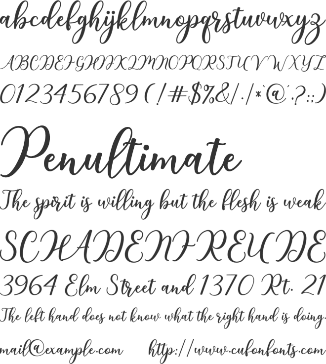niesha font preview