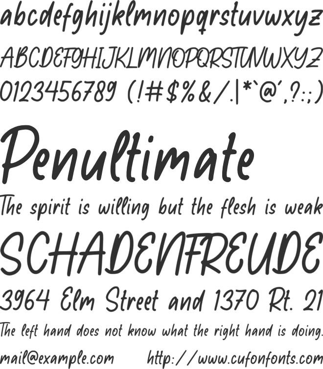 Raytone font preview