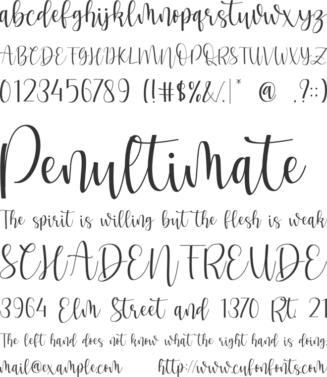 Fernynda font preview