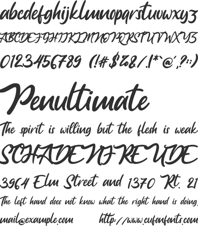Anjelica Script font preview