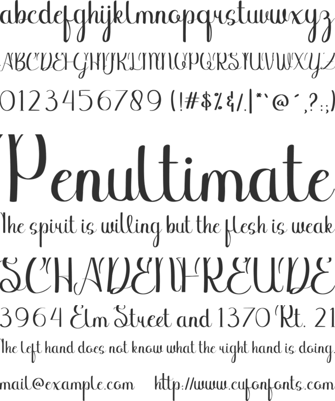 Binttang Selfianto font preview