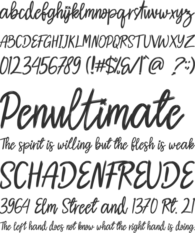 Reinstay font preview