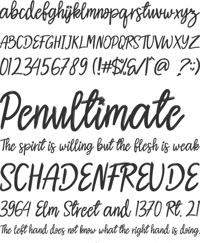 Reinstay font preview