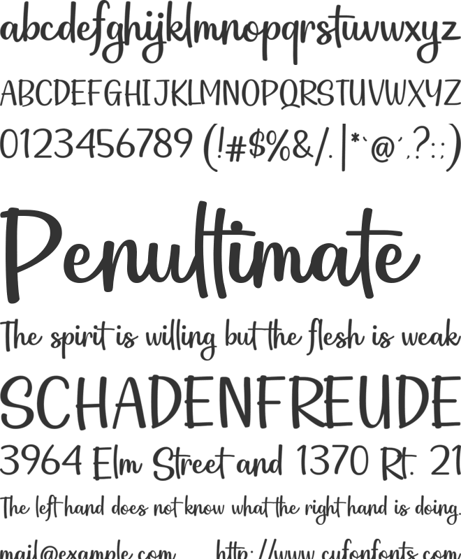 Astronauta Script font preview