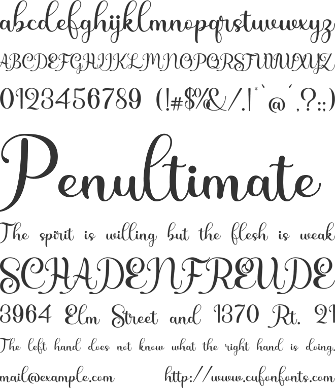ShinyAisyah font preview