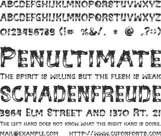BE-WILD Brush Font font preview