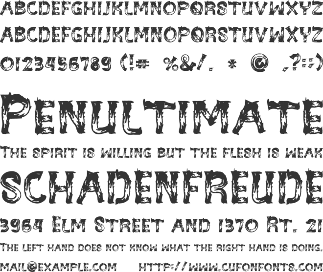 BE-WILD Brush Font font preview