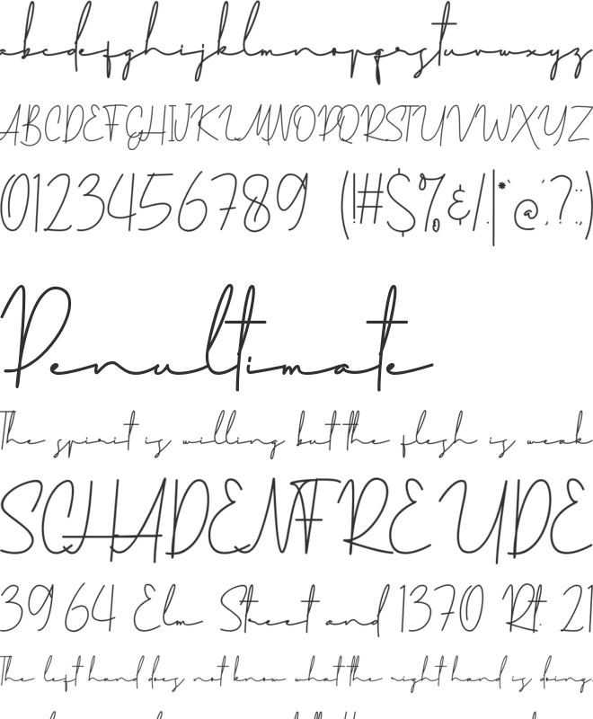 Mitchell Signature font preview