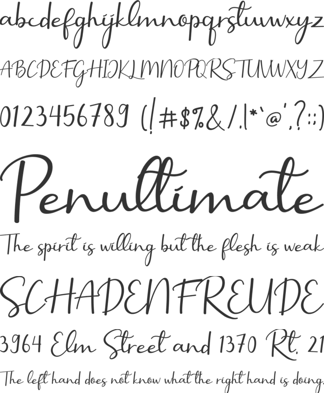 Selly Calligraphy font preview