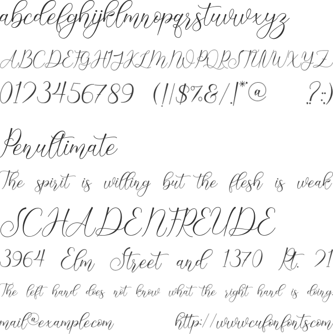 beautyfriday font preview