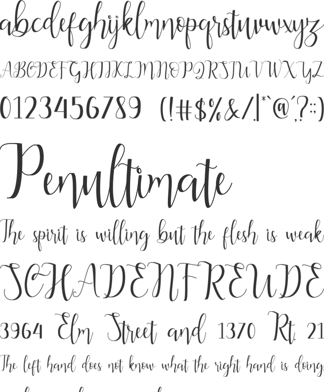 Alderta font preview