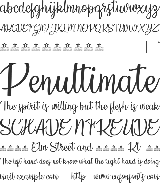Sunflowers font preview