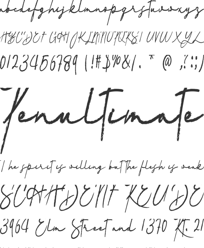 Vadimbrush font preview