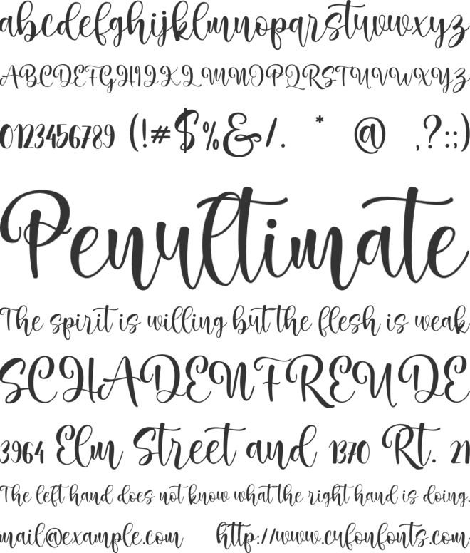 marlinamelvin font preview