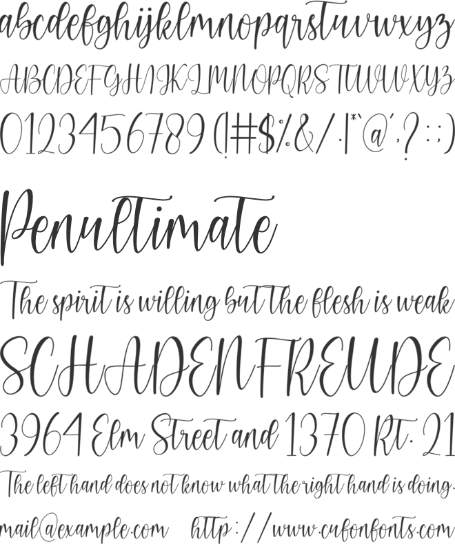 calista font preview