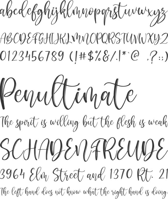 Metropolis Script font preview