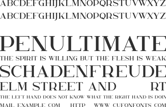 Kavo Serif font preview