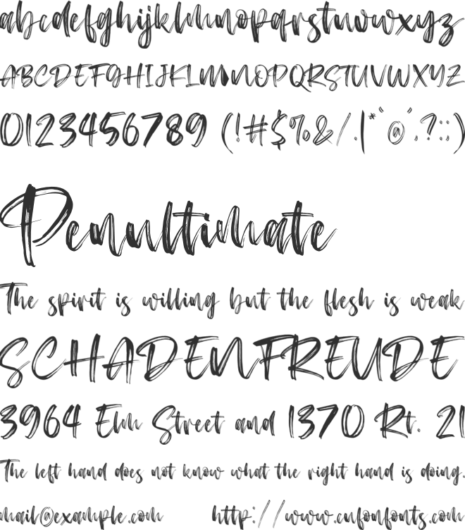 Rosekind font preview