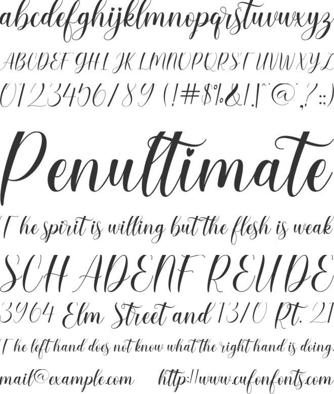 Belarose font preview