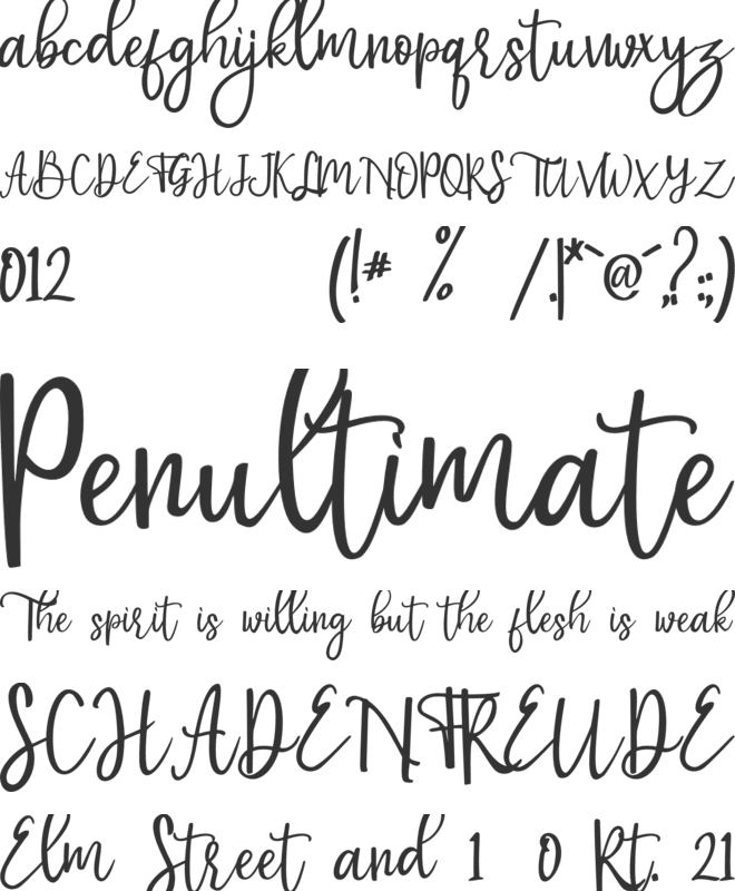 mottion font preview